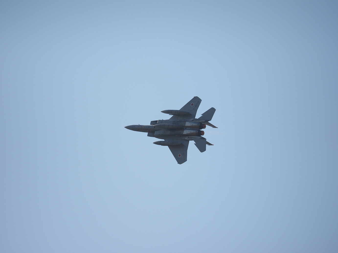 PA251909.jpg