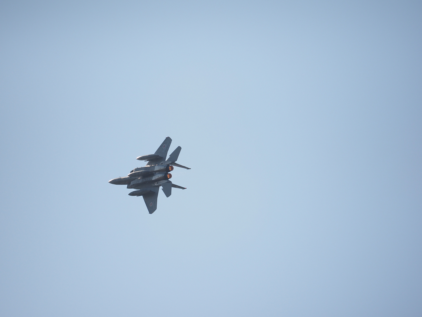 PA251915.jpg