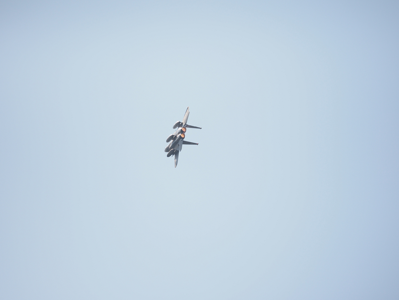 PA251923.jpg
