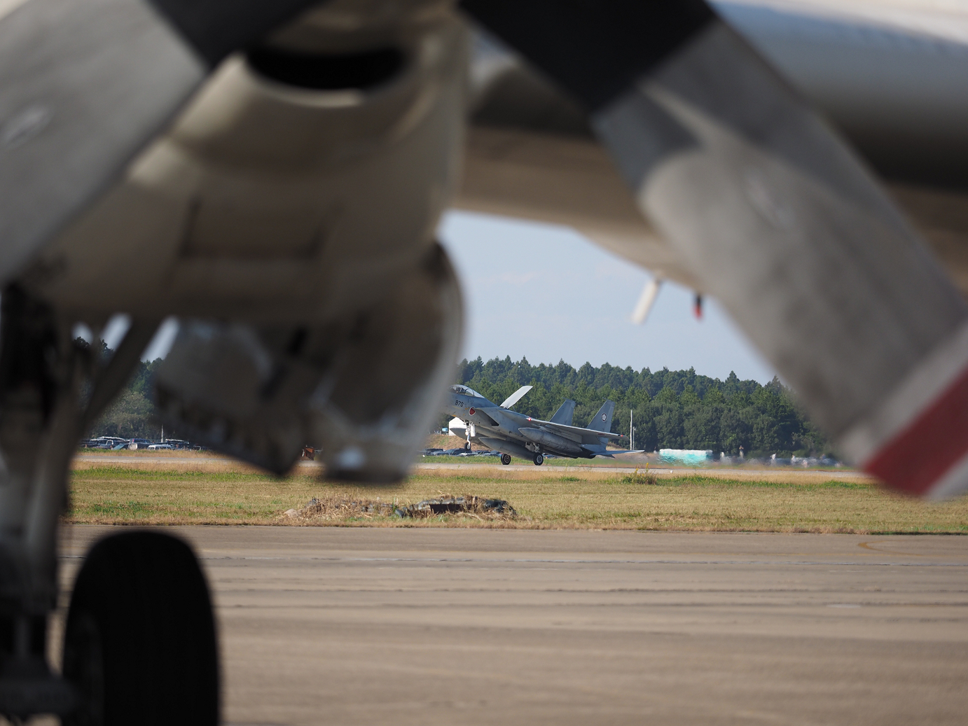 PA251988.jpg