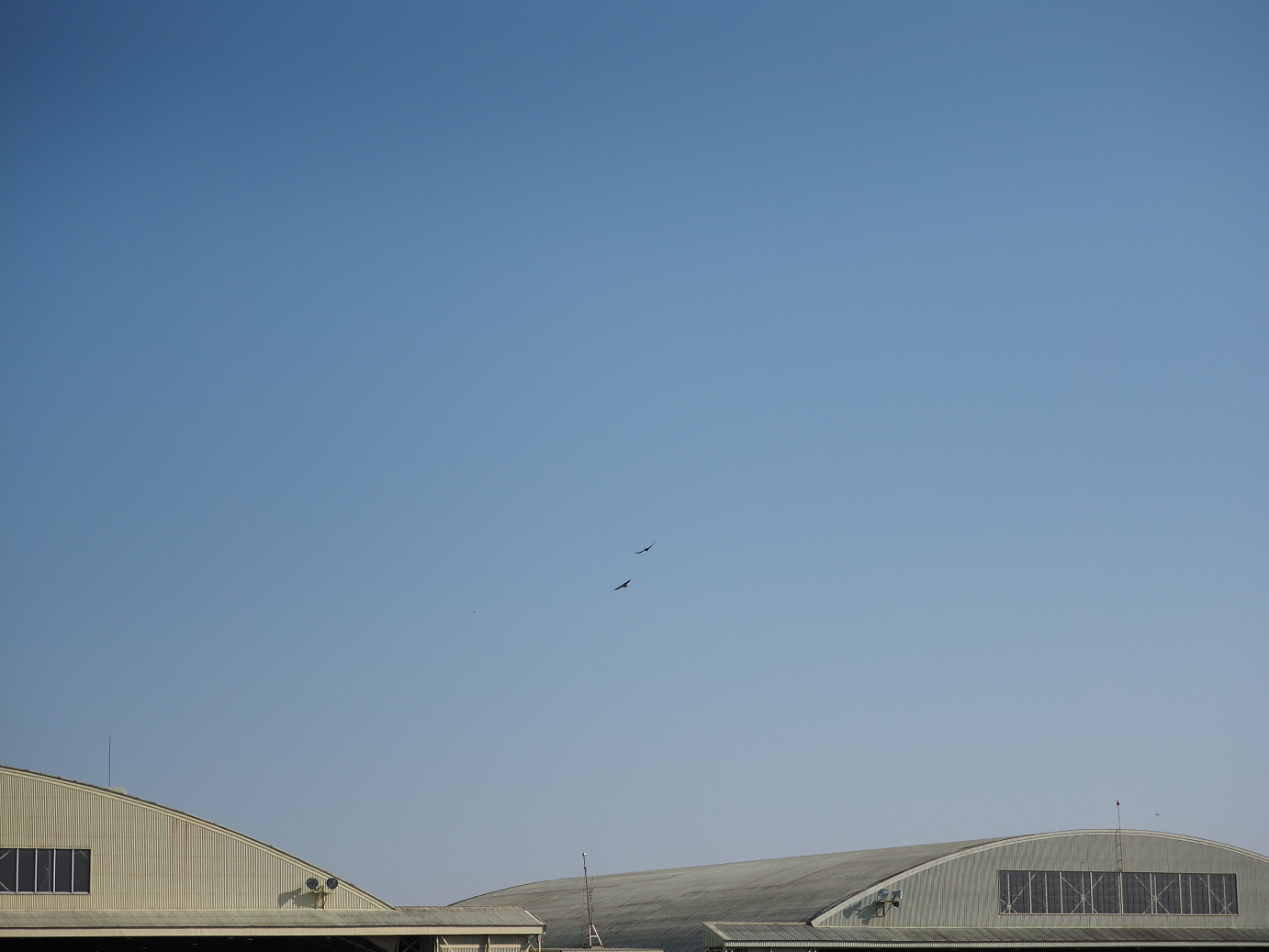 PA252024.jpg