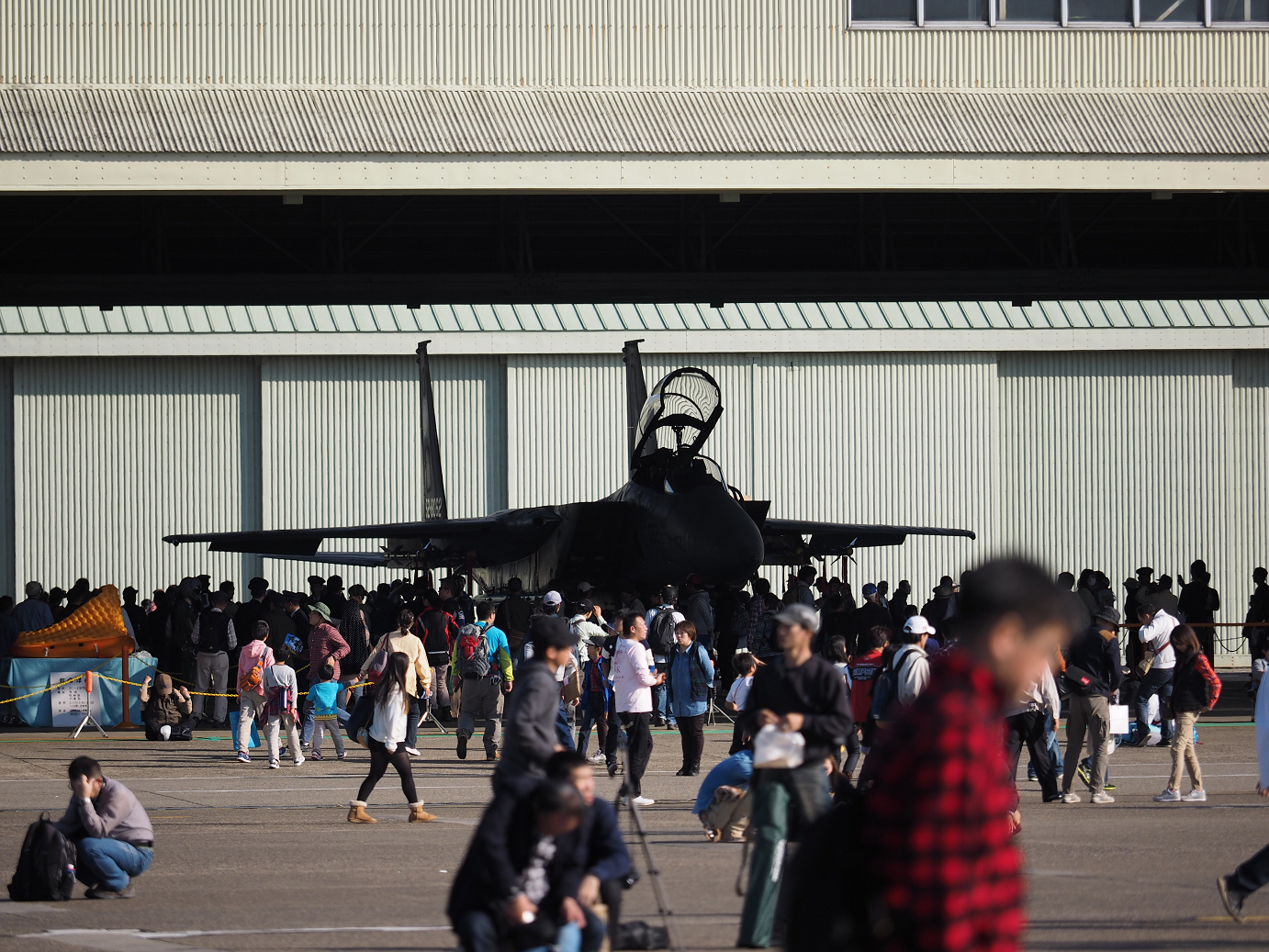 PA252029.jpg