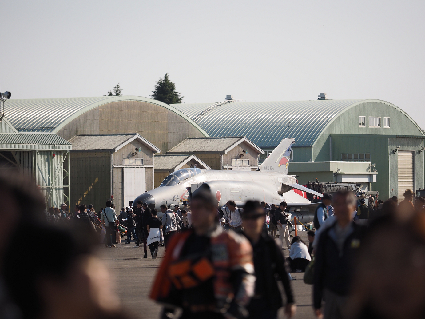 PA252032.jpg