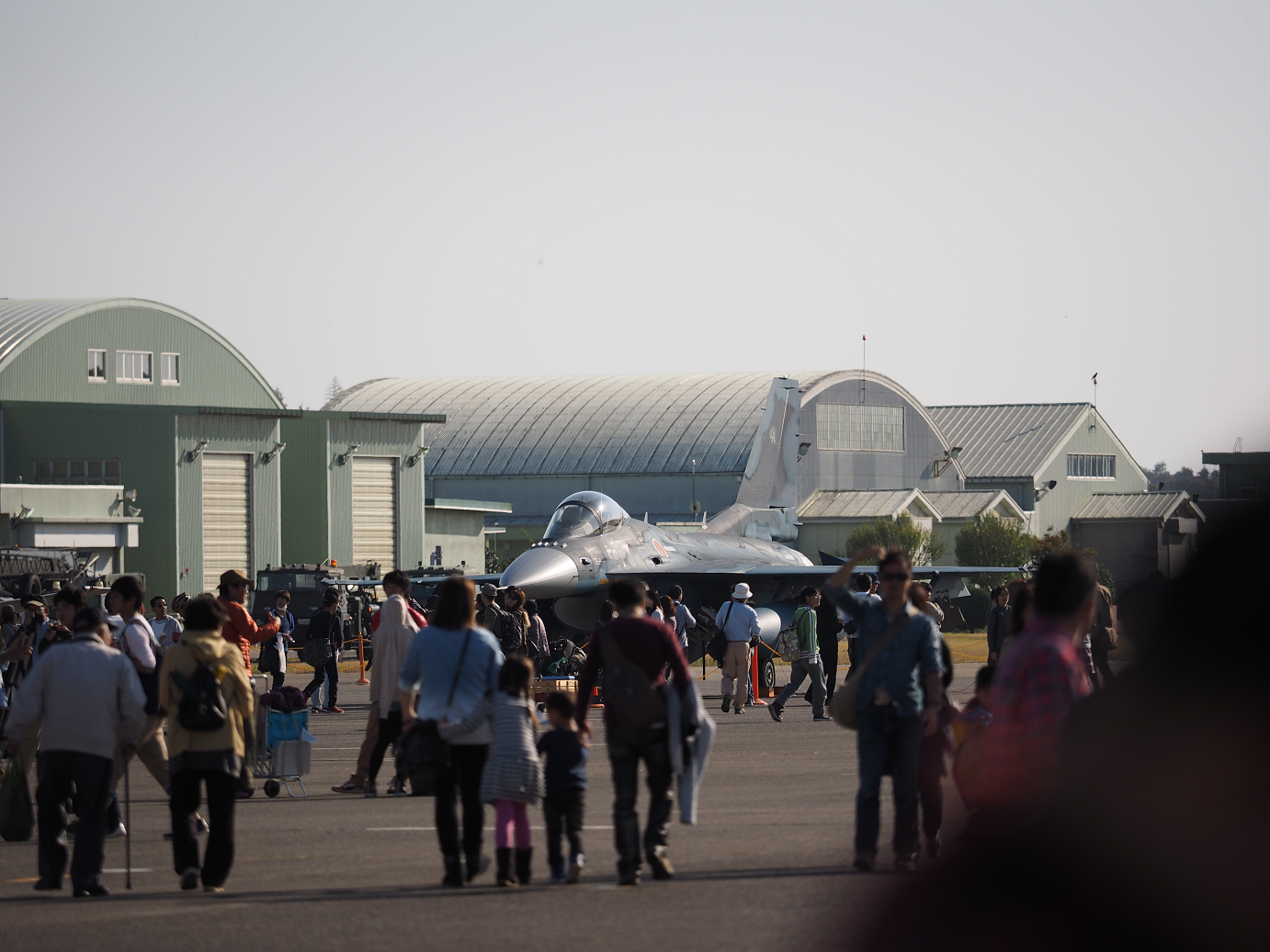 PA252033.jpg