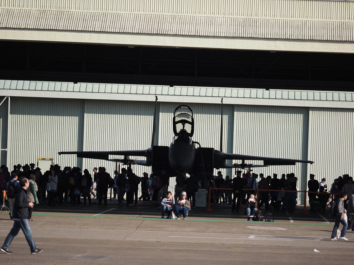 PA252053.jpg