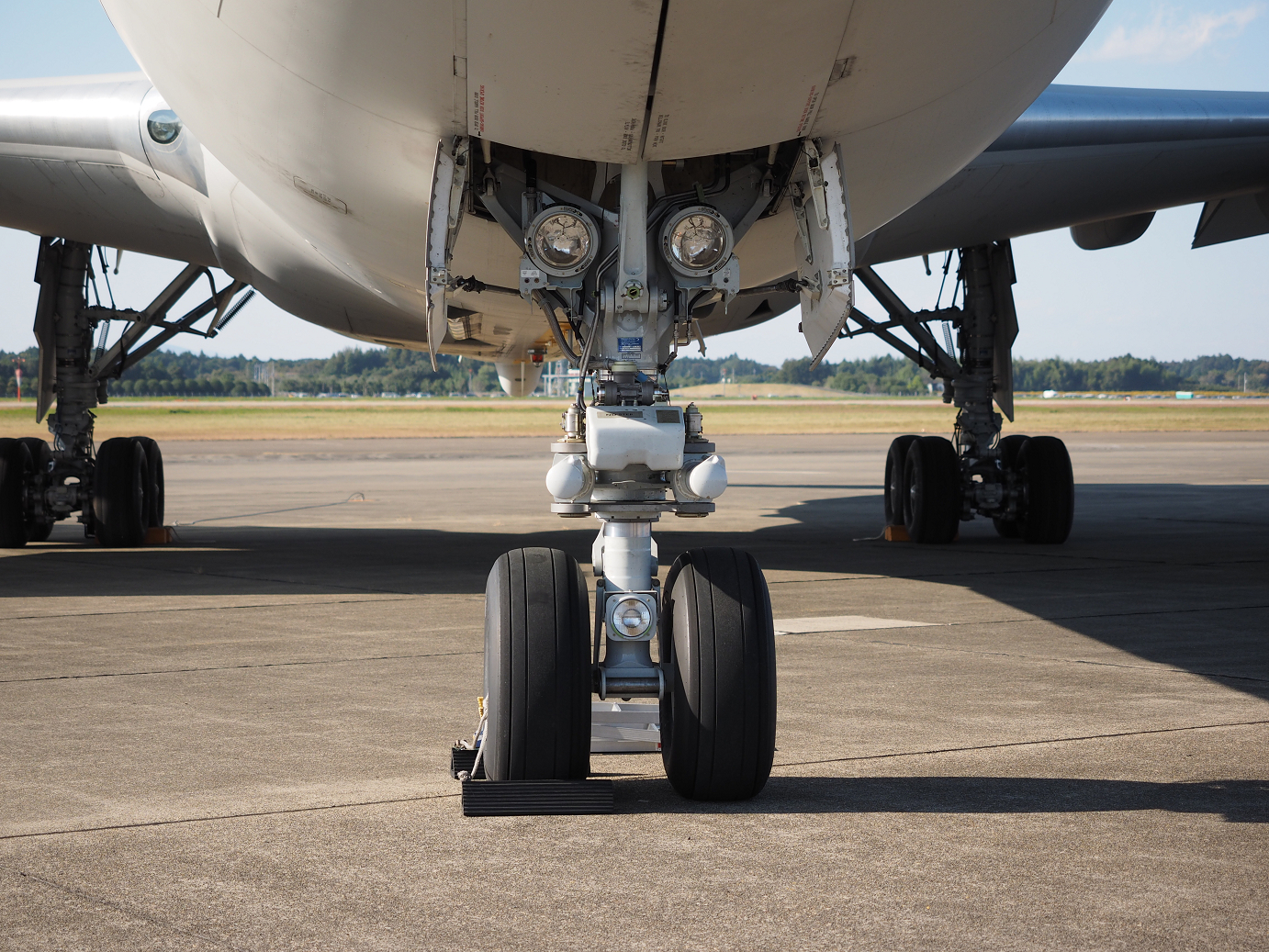 PA252067.jpg