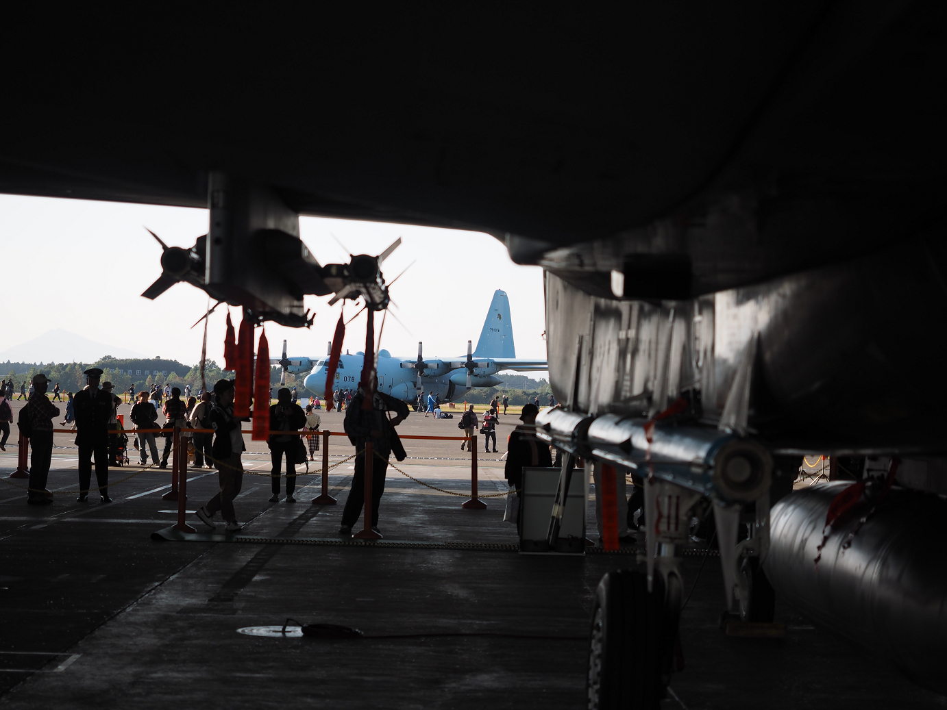 PA252238.jpg
