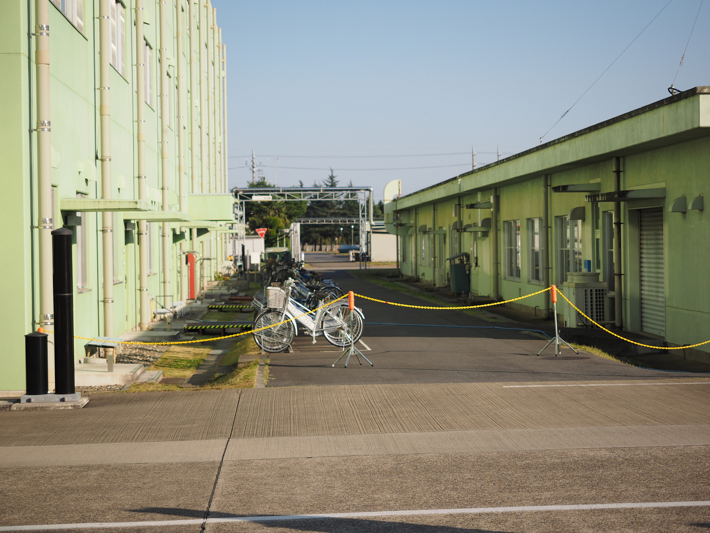 PA252252.jpg