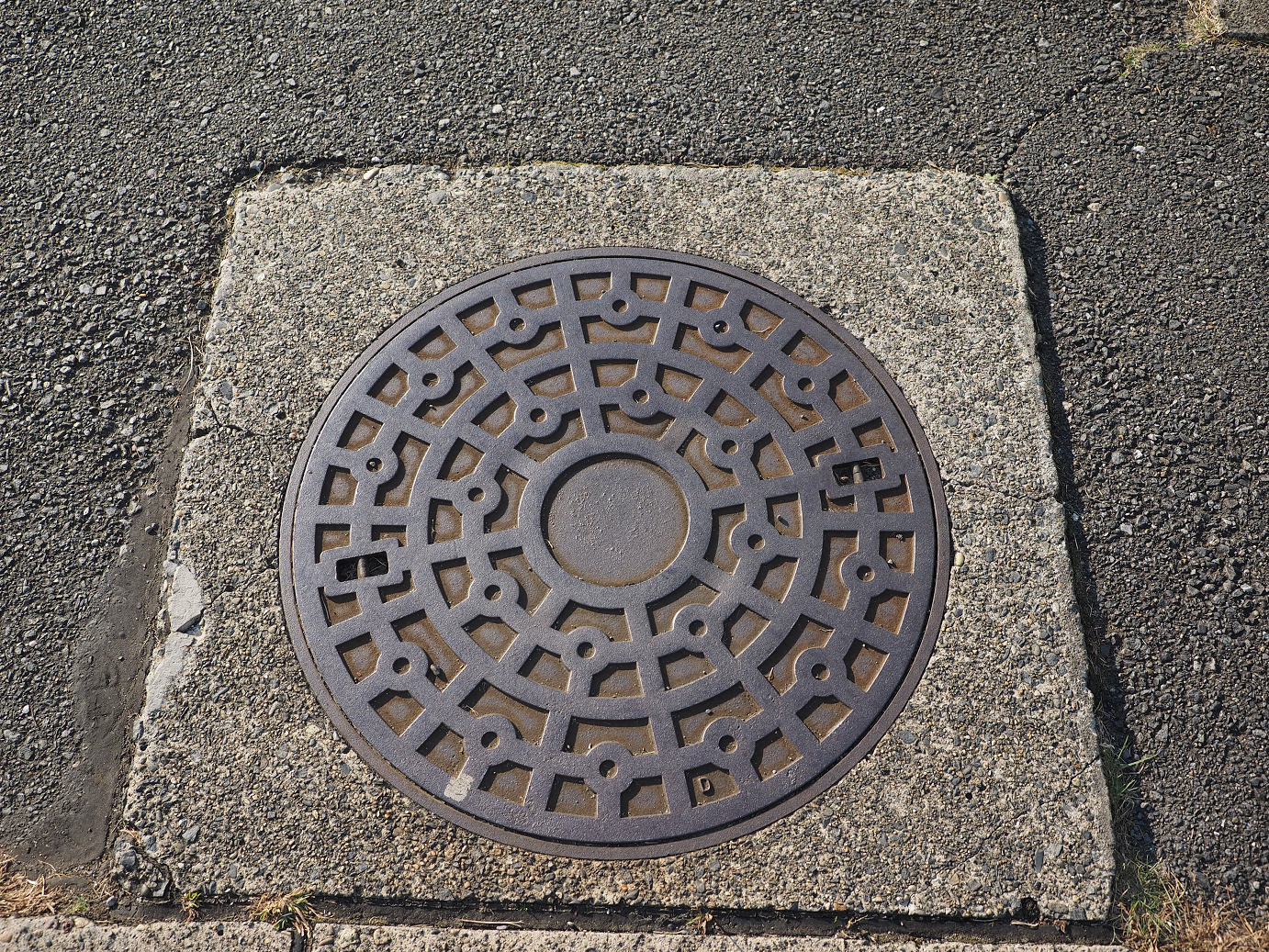 PA252261.jpg