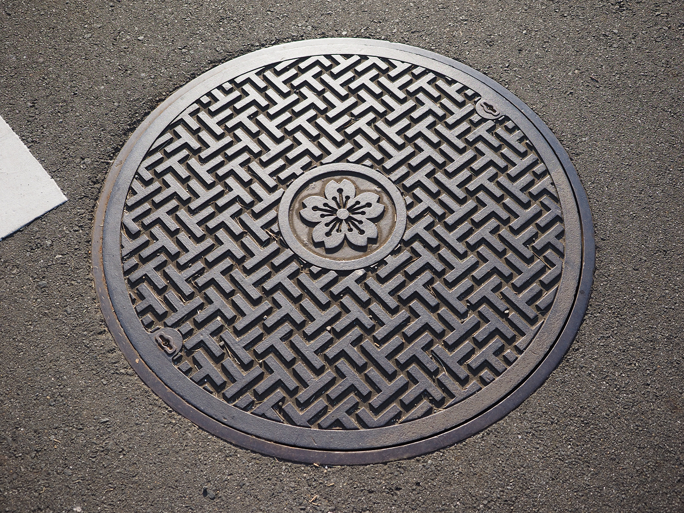 PA252282.jpg