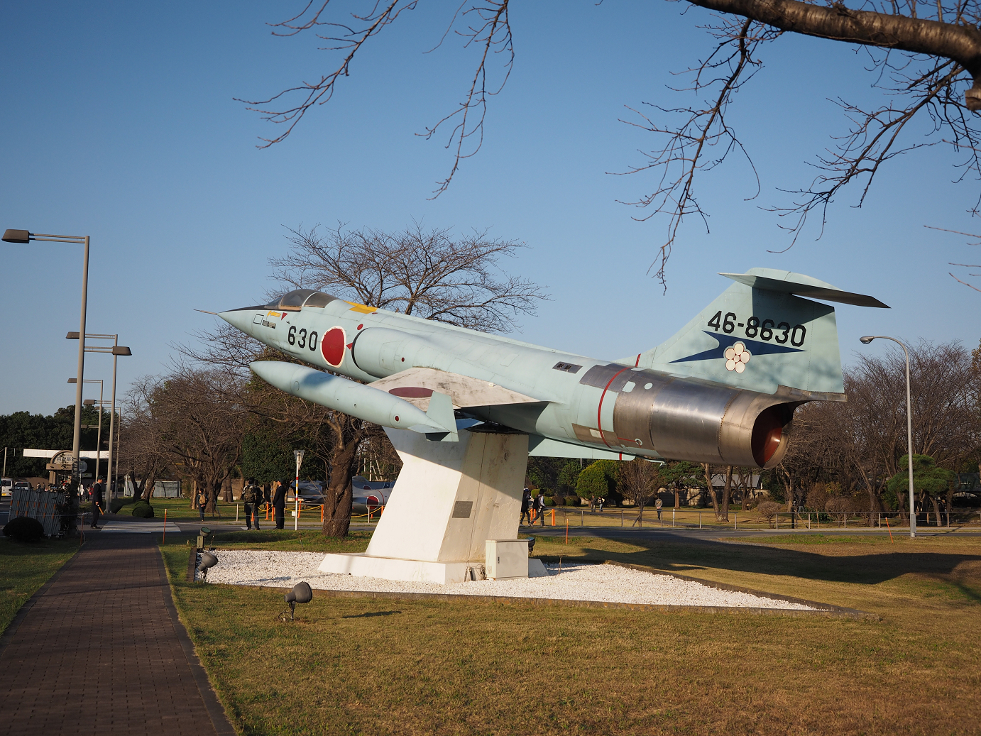 PA252329.jpg