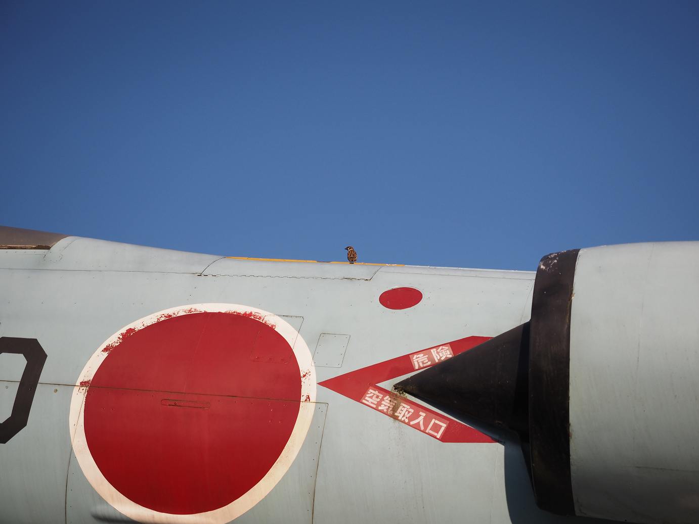 PA252331.jpg