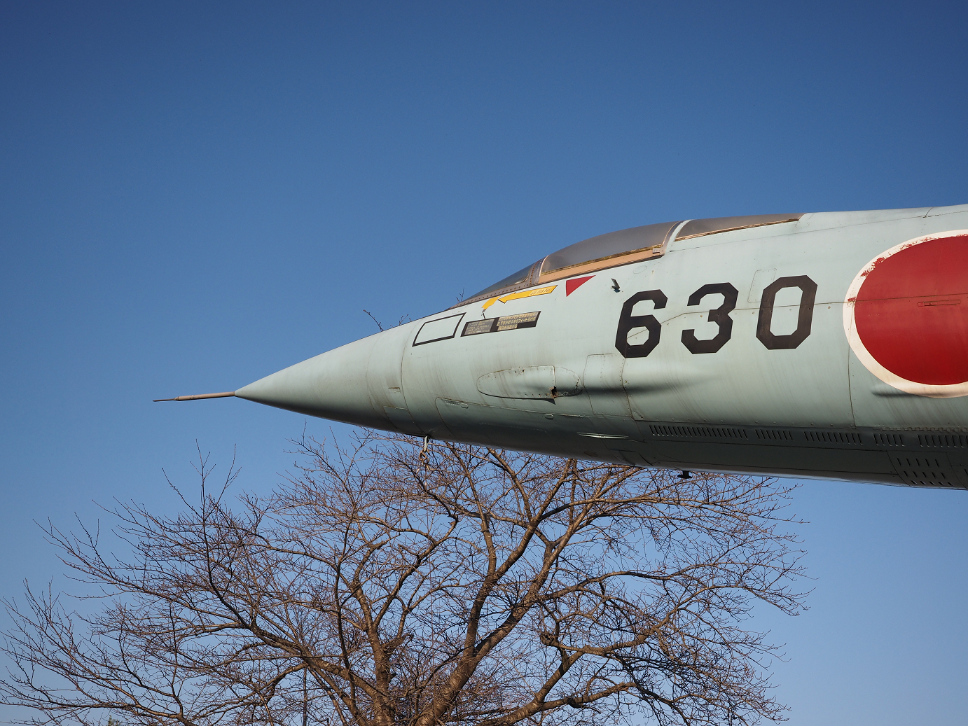 PA252334.jpg