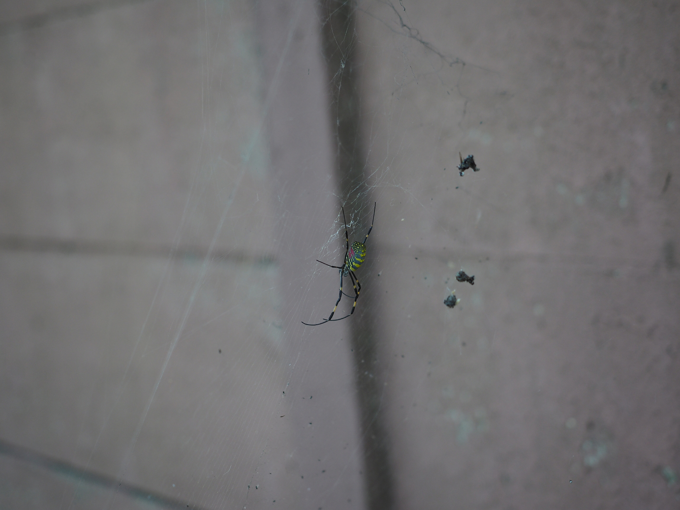 PA252350.jpg