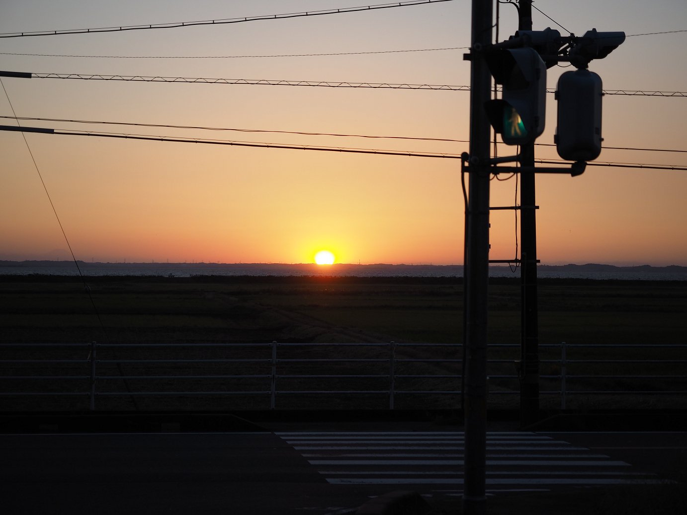 PA252361.jpg