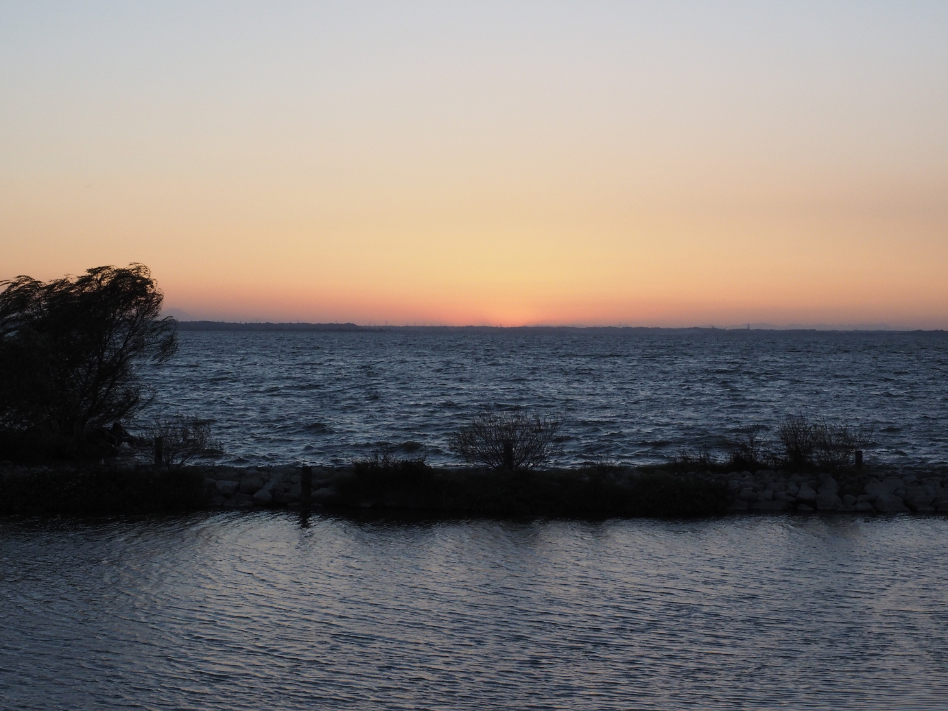 PA252364.jpg