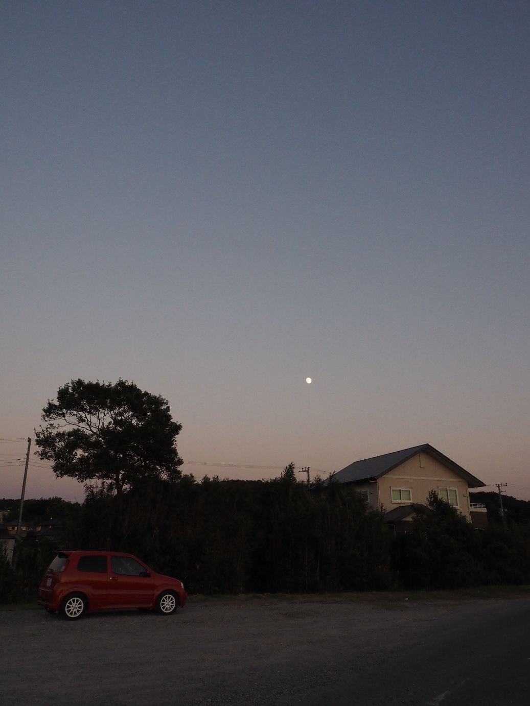 PA252374.jpg