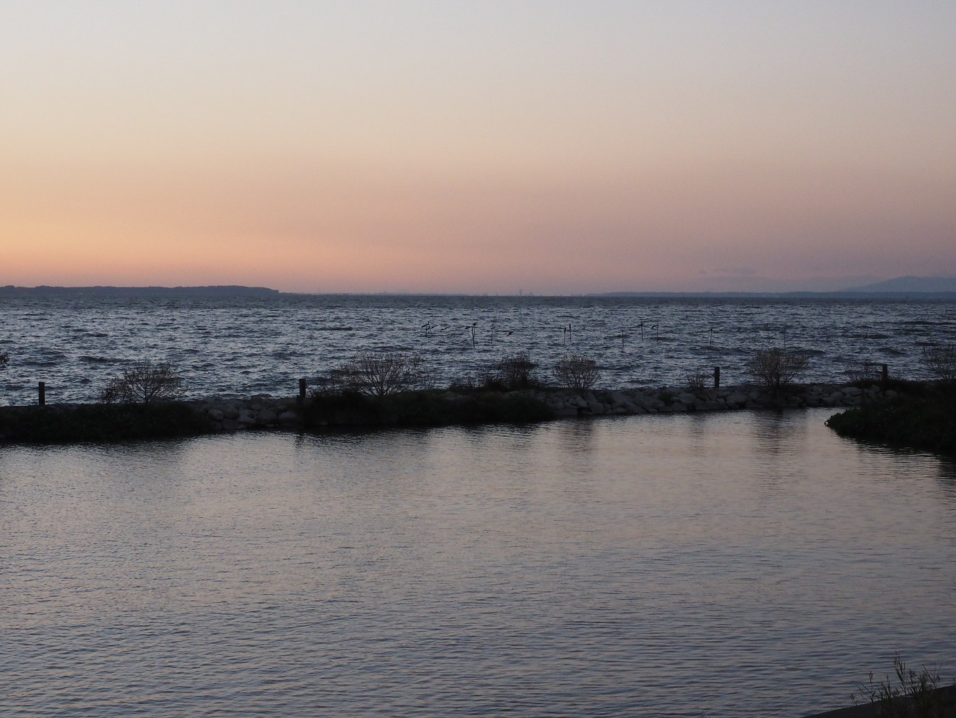 PA252377.jpg
