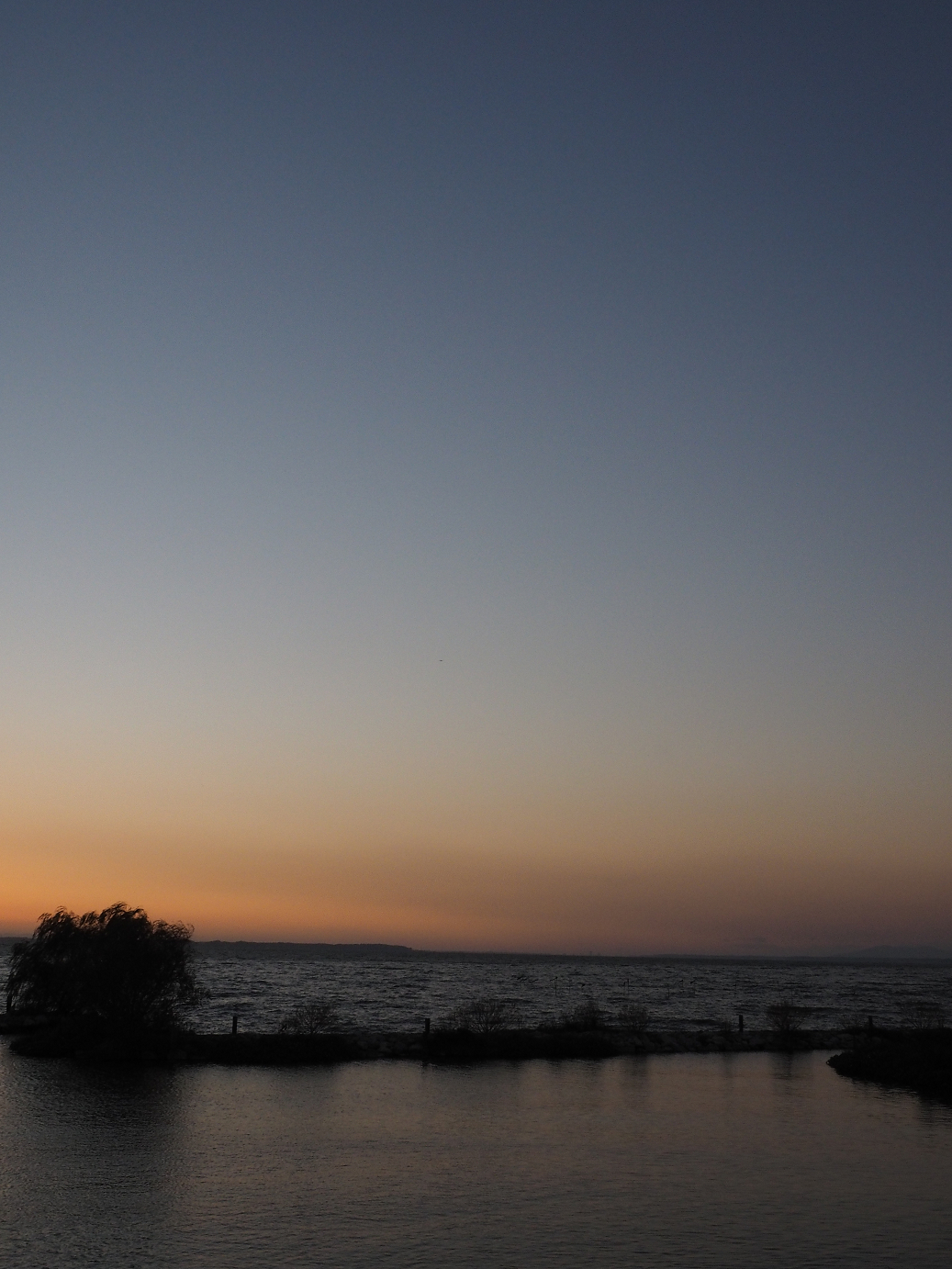 PA252378.jpg