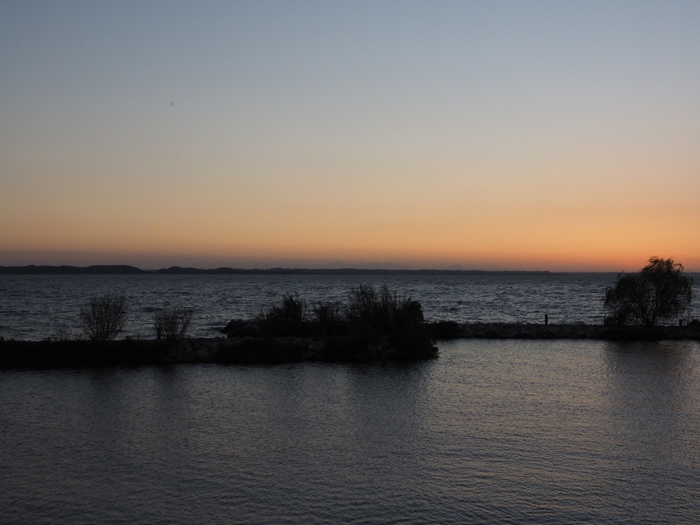PA252382.jpg