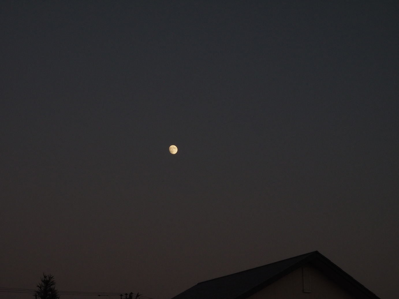 PA252386.jpg
