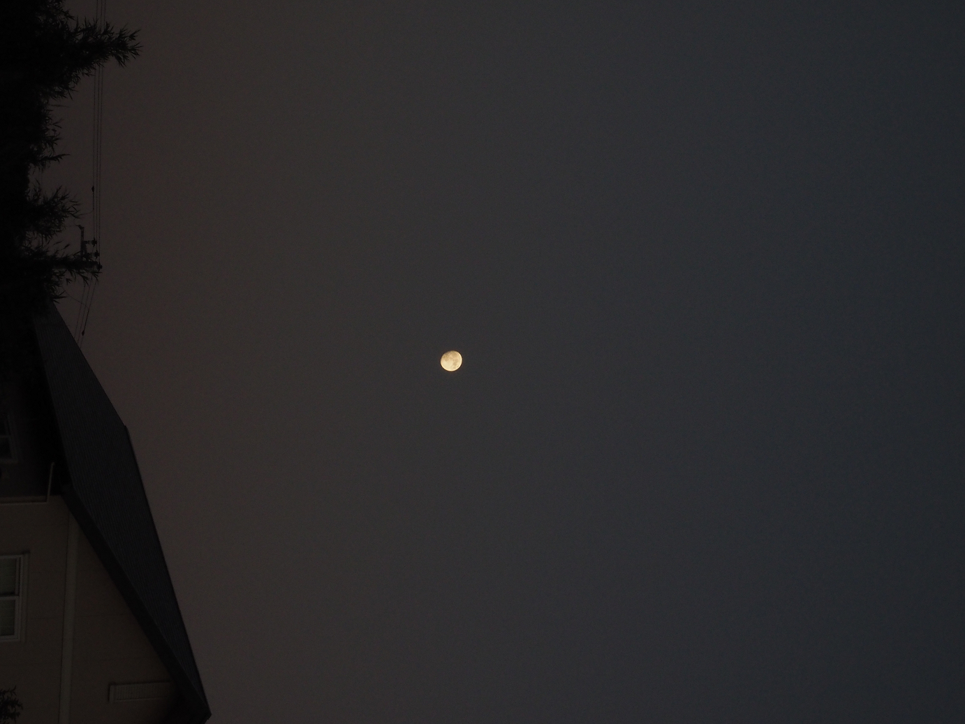 PA252387.jpg