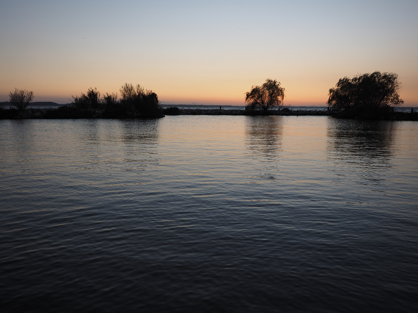 PA252389.jpg