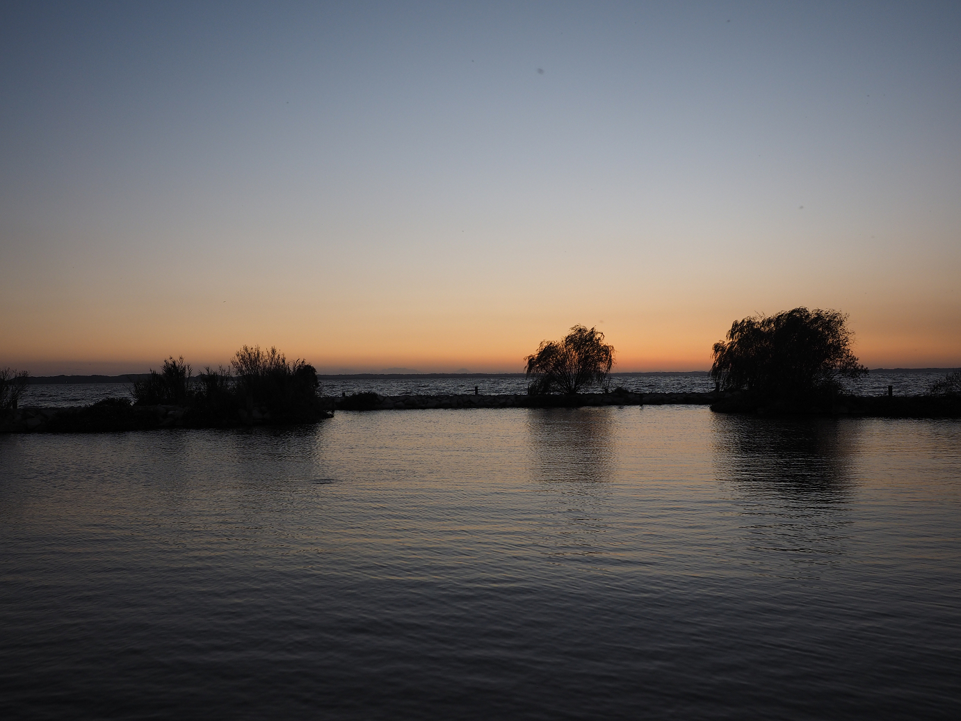 PA252397.jpg