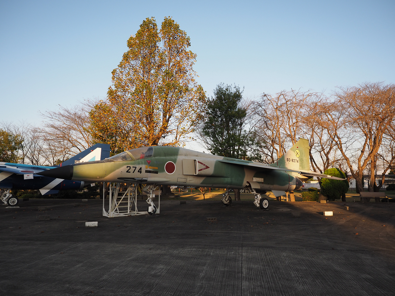 PA250349.jpg