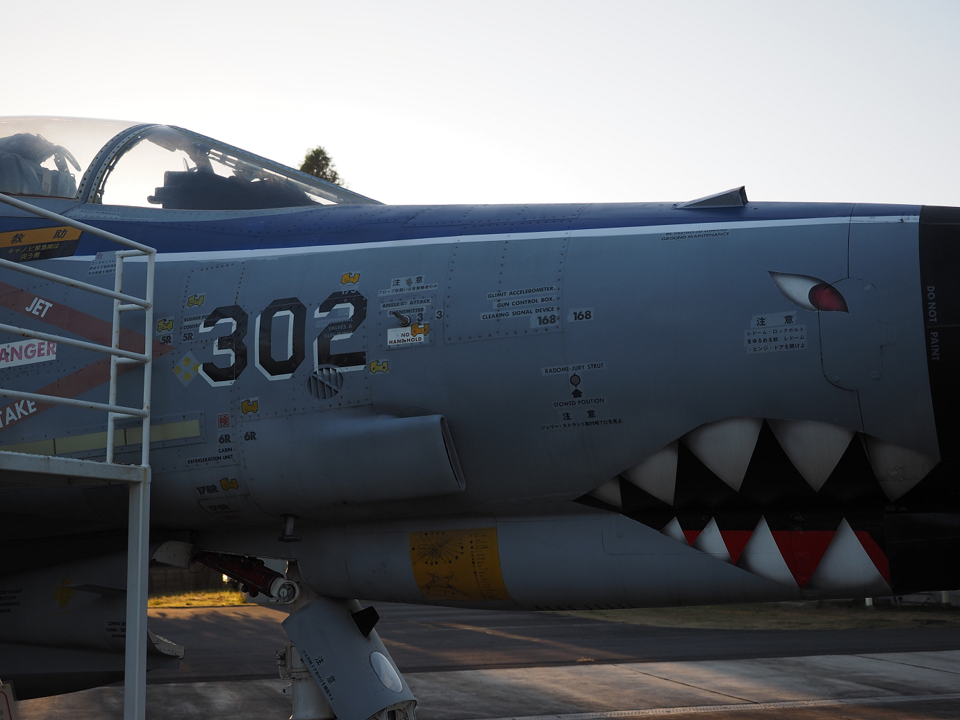 PA250354.jpg
