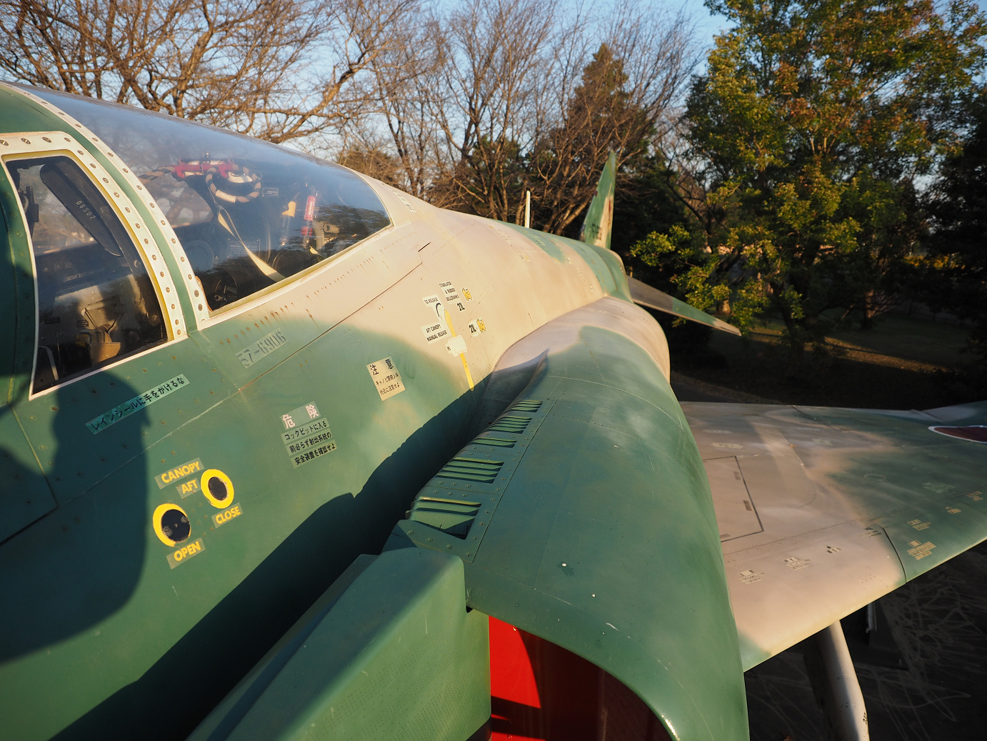 PA250364.jpg