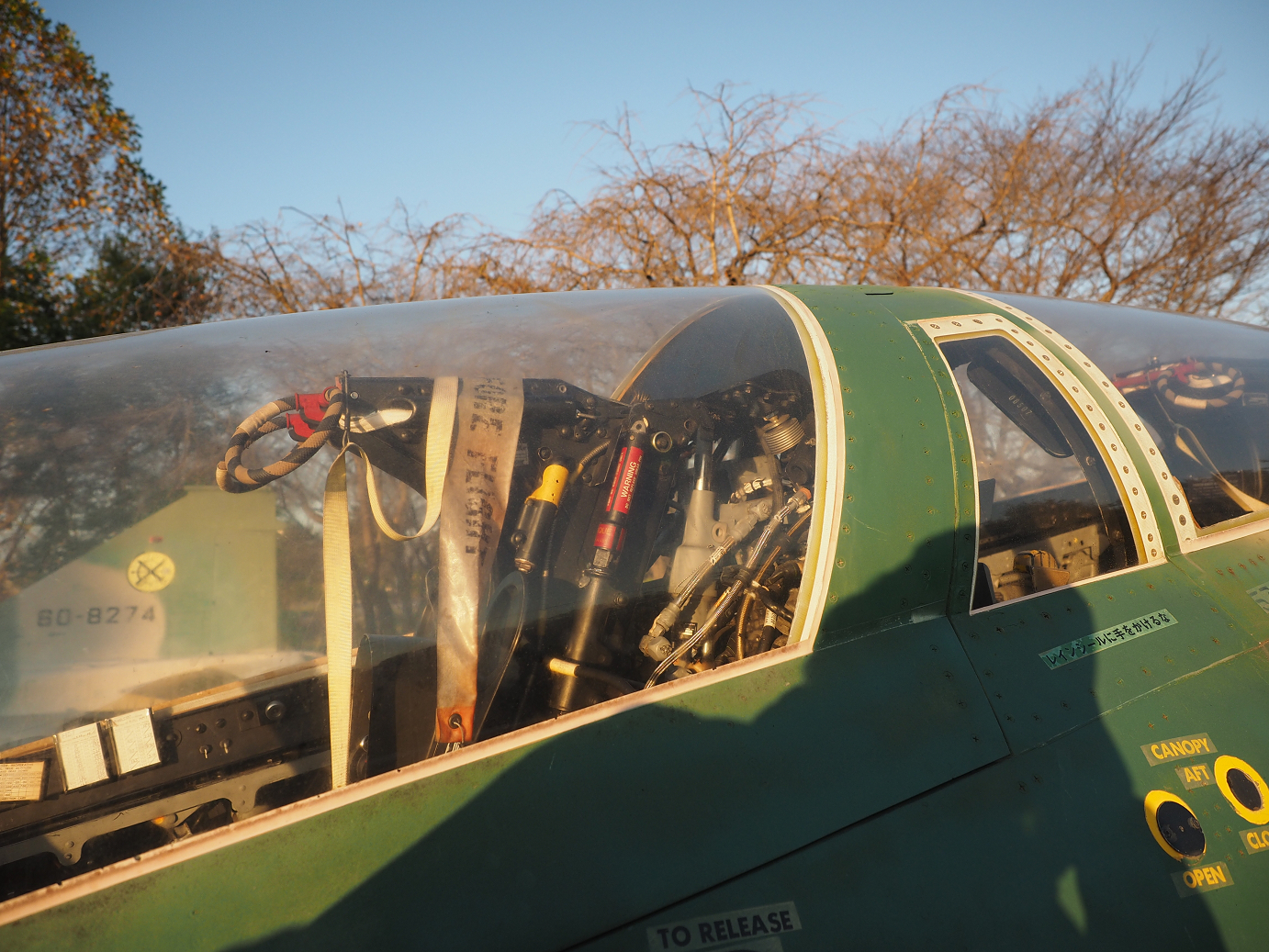 PA250365.jpg