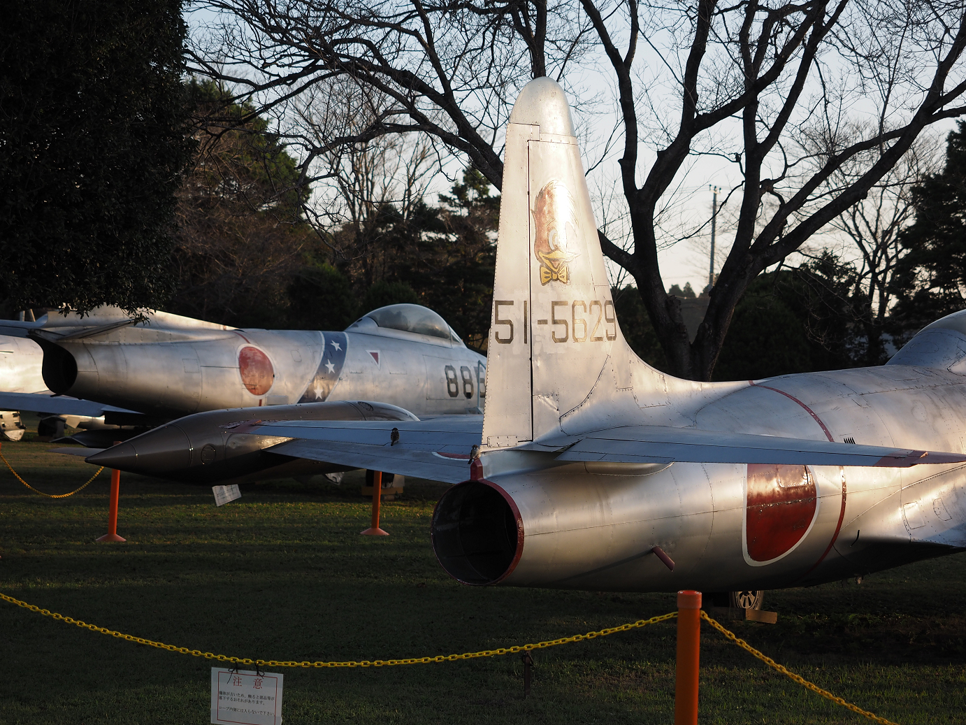 PA250385.jpg