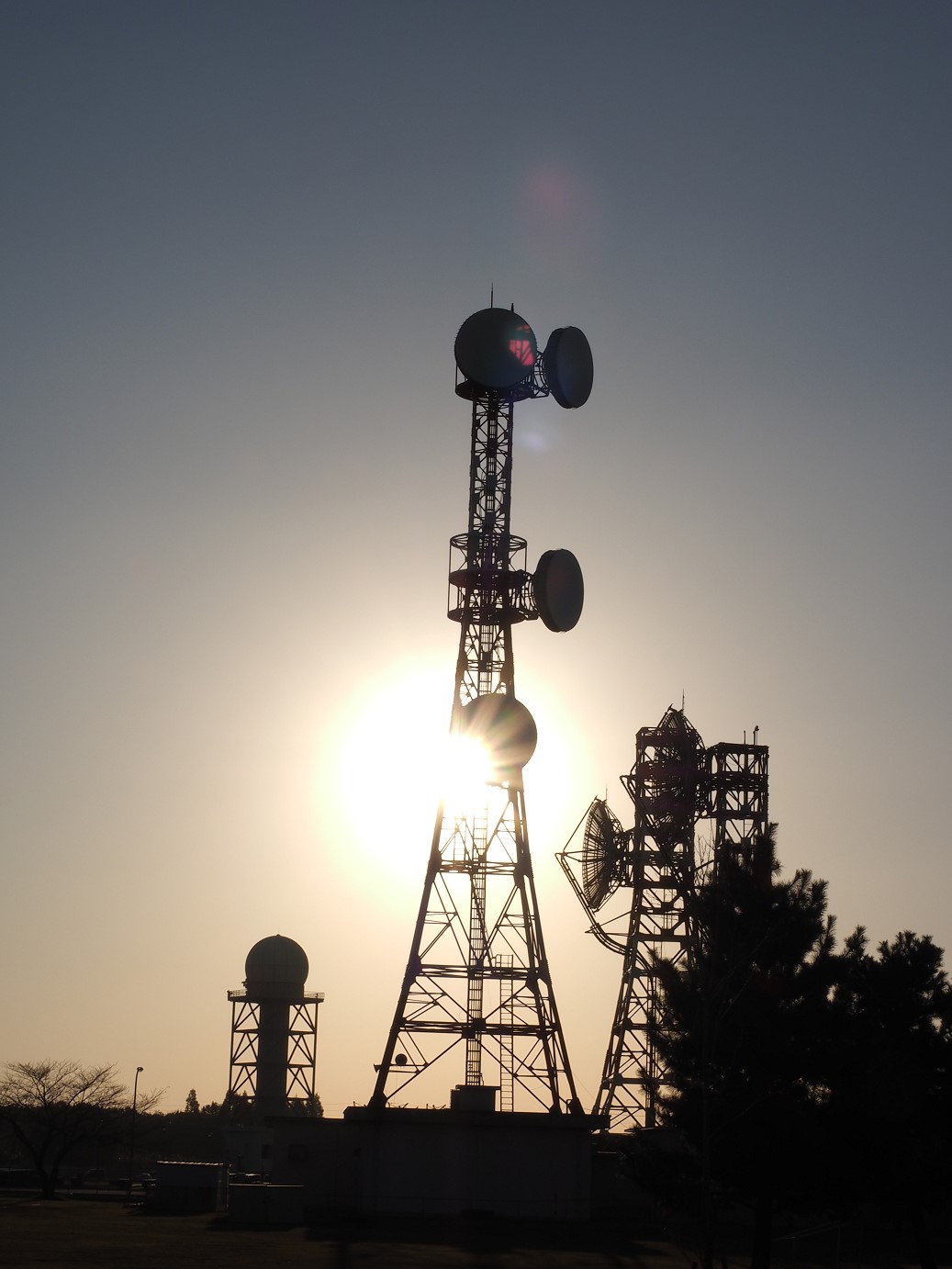 PA250394.jpg
