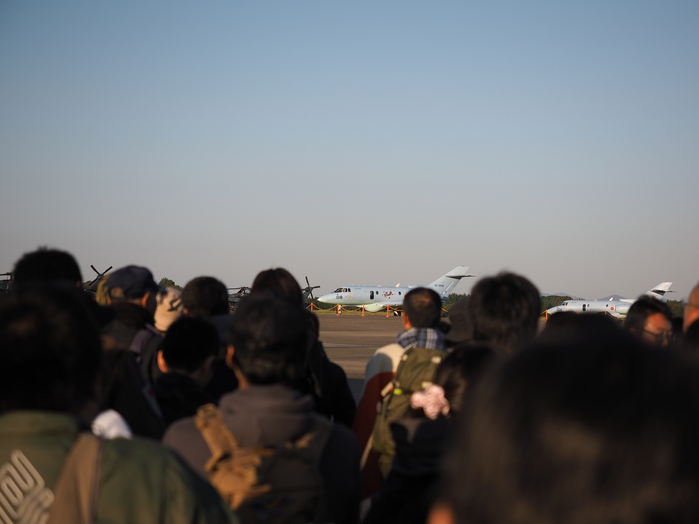 PA250395.jpg