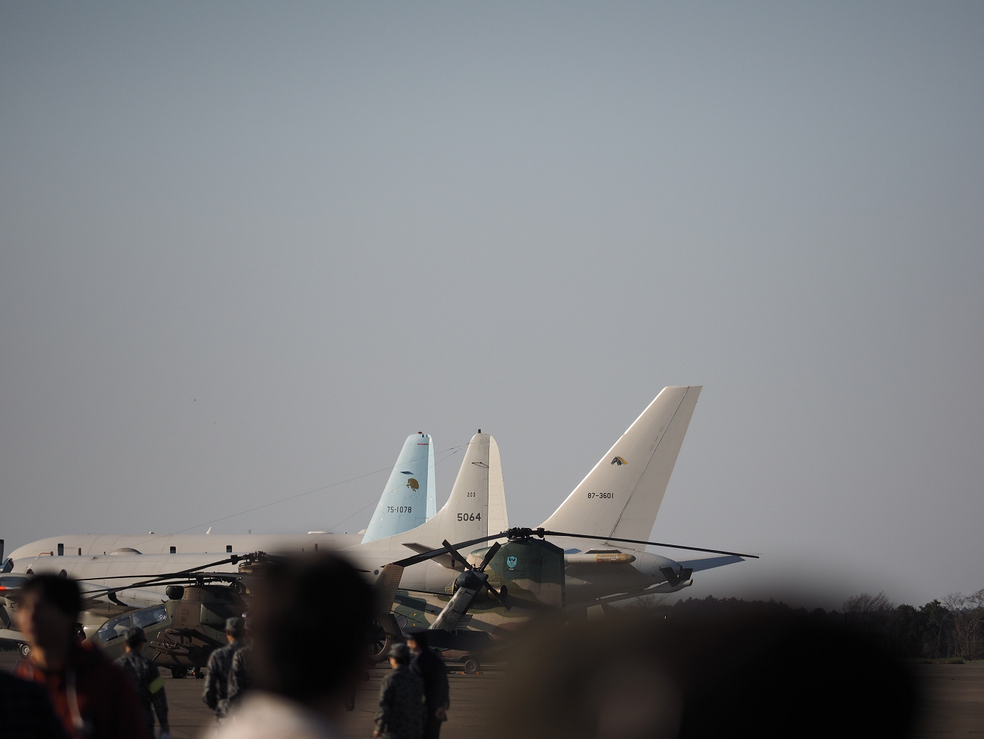 PA250504.jpg
