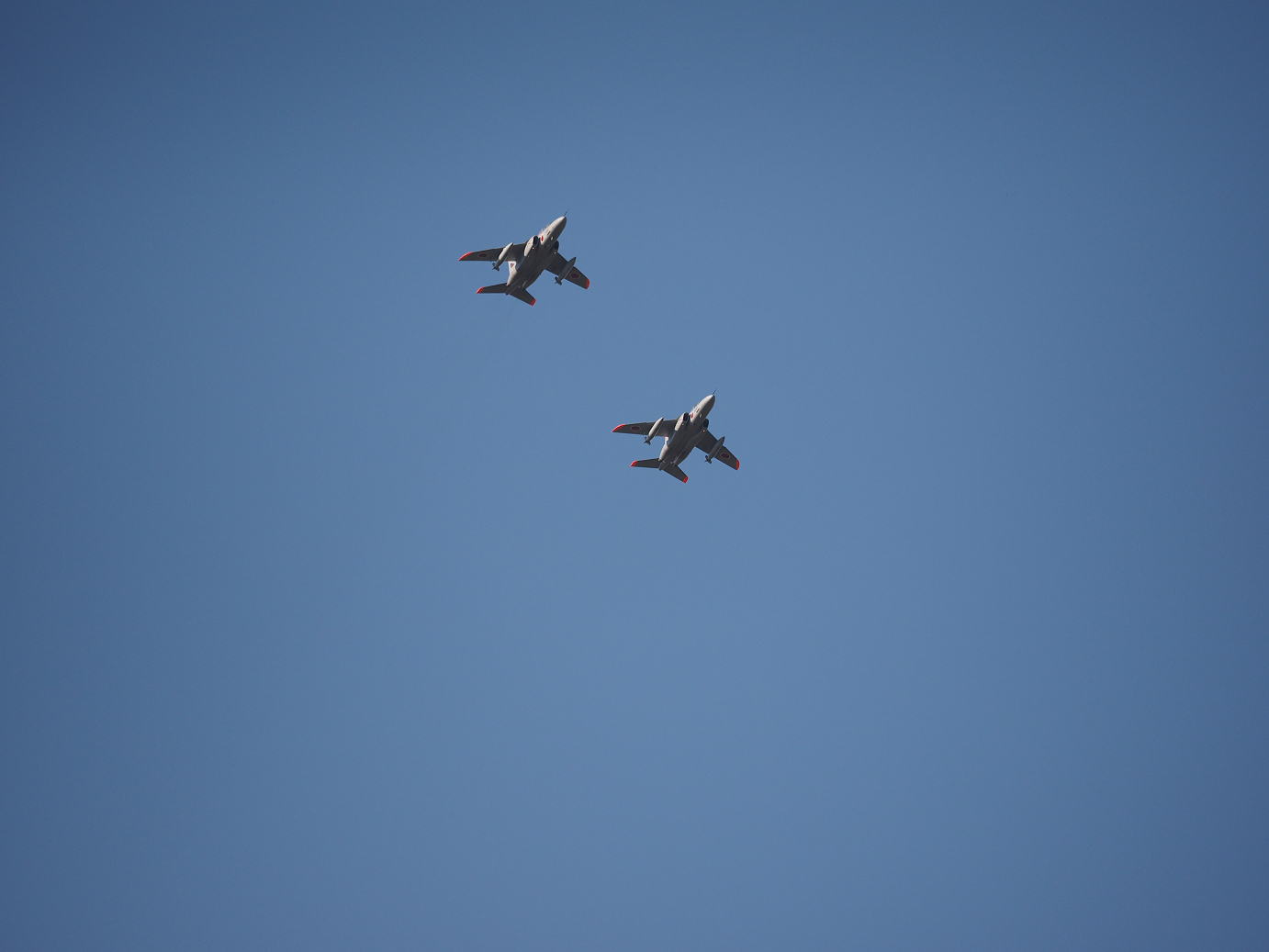 PA250515.jpg