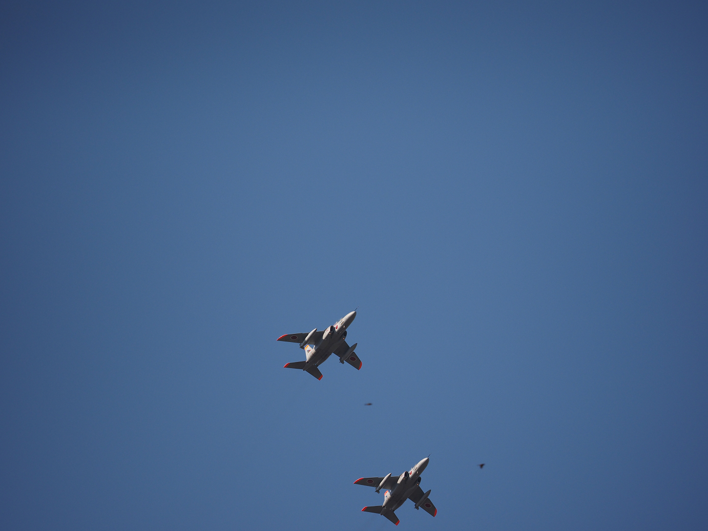 PA250527.jpg