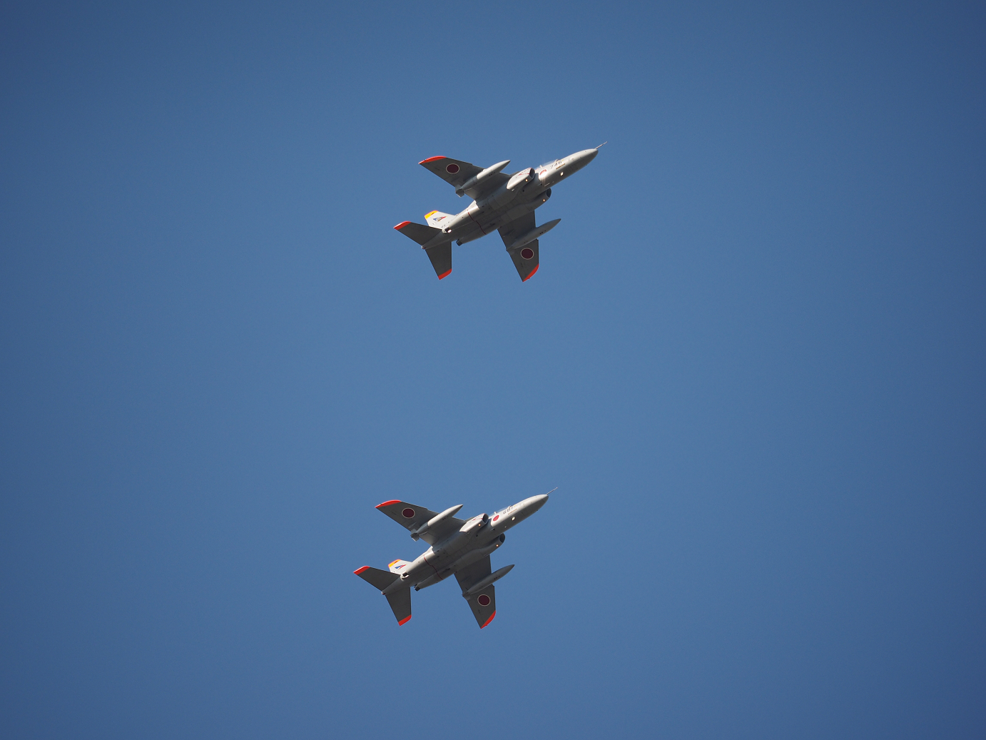 PA250530.jpg