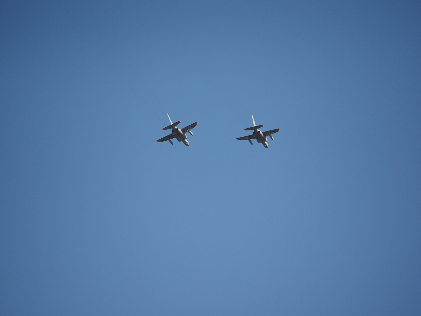 PA250545.jpg