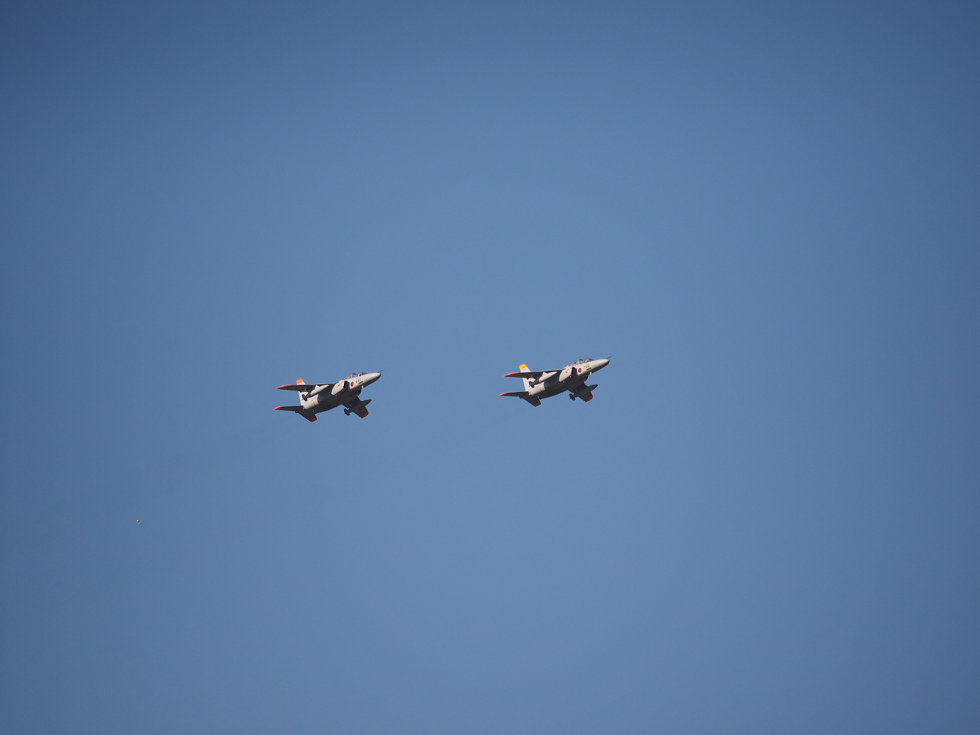PA250554.jpg