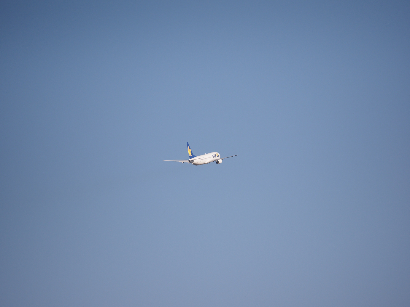 PA250614.jpg