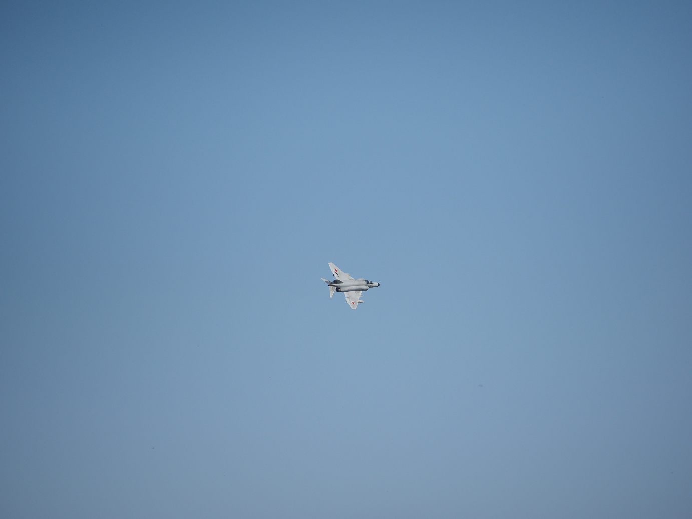 PA250894.jpg