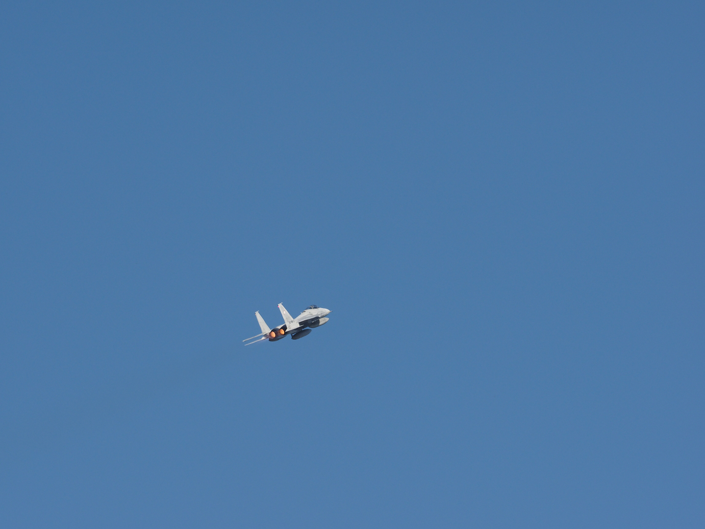PA250988.jpg