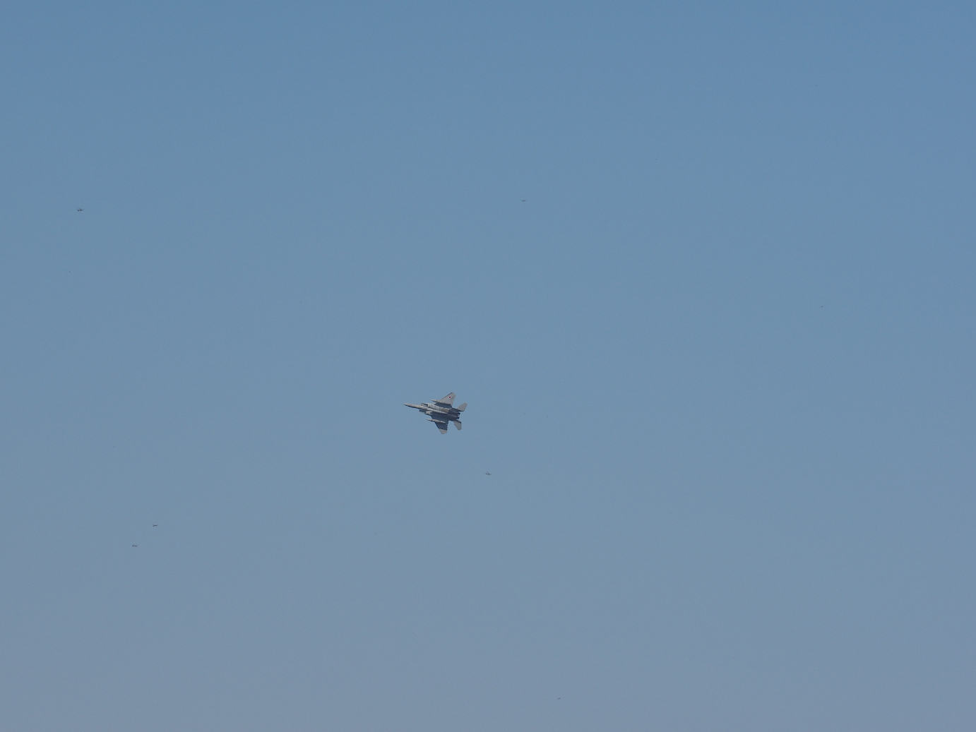 PA251004.jpg