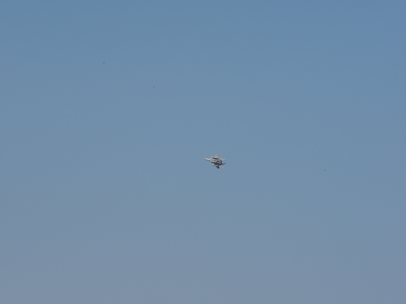 PA251016.jpg