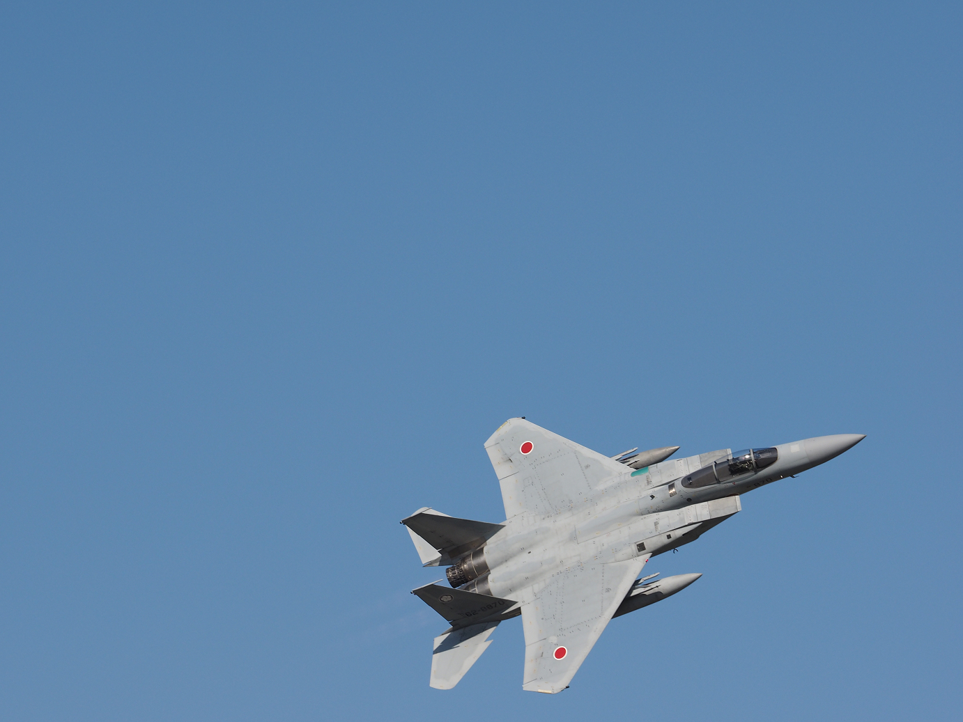 PA251032.jpg