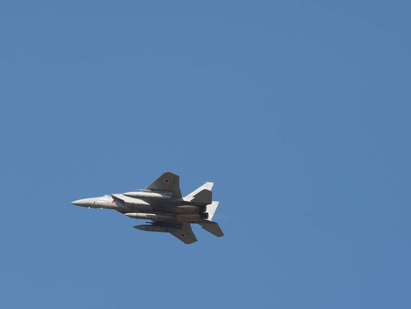 PA251053.jpg