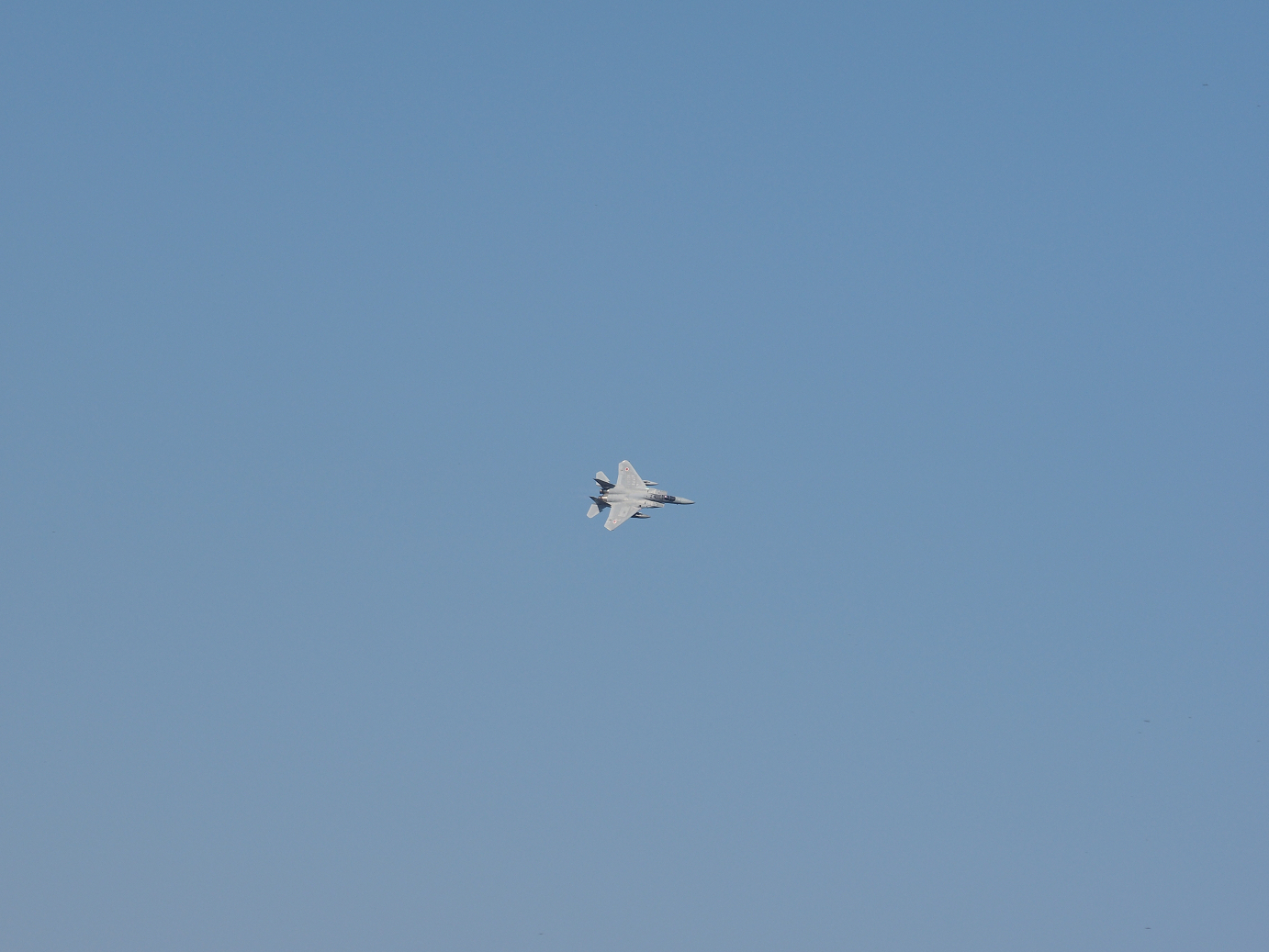 PA251078.jpg