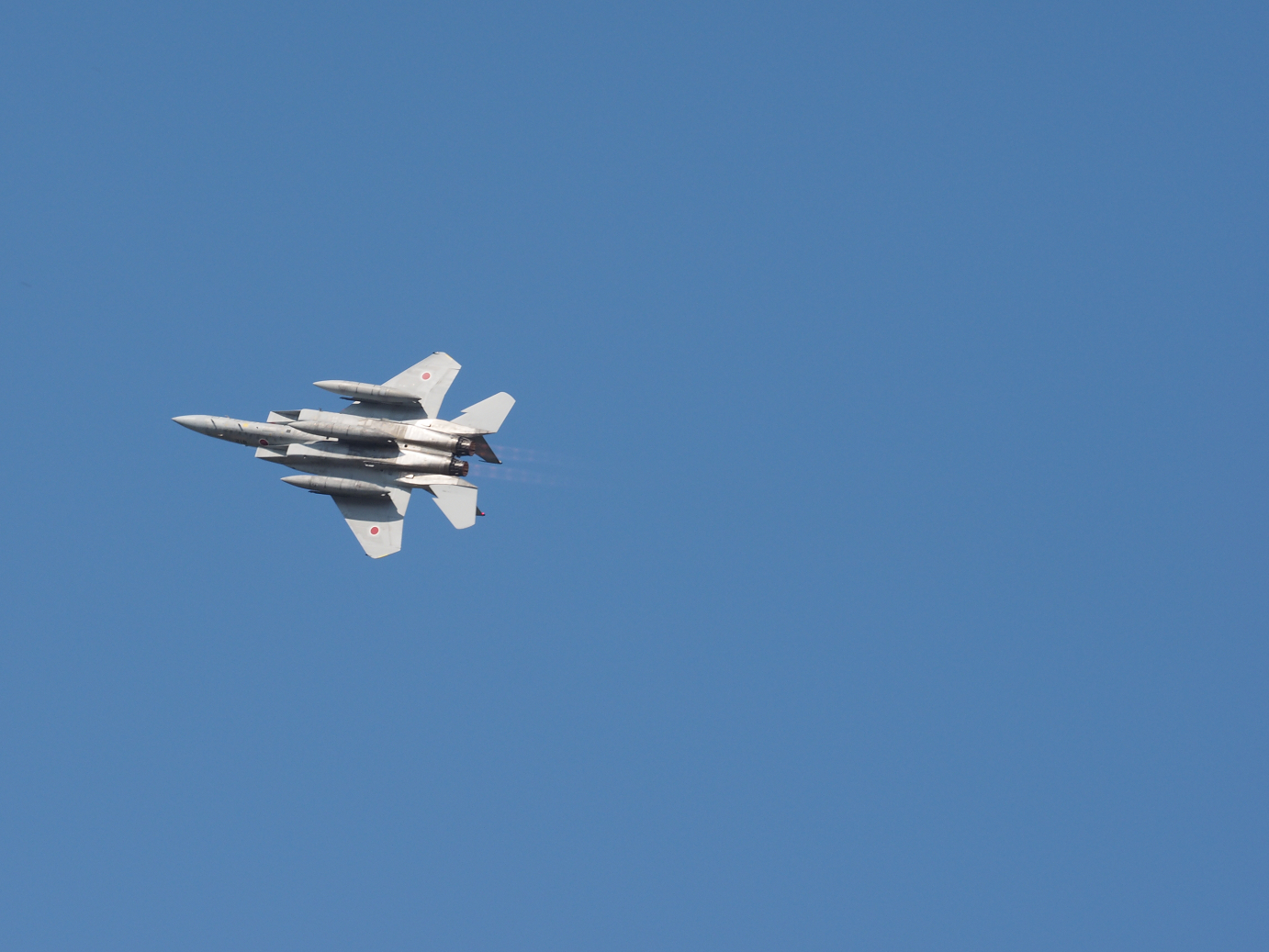 PA251083.jpg